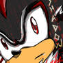 Shadow the Hedgehog