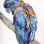 Psychedelic Parrot