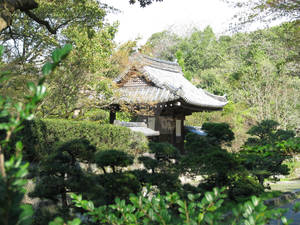 Usa Jingu Gate Building