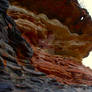 weathered sandstone cliff face