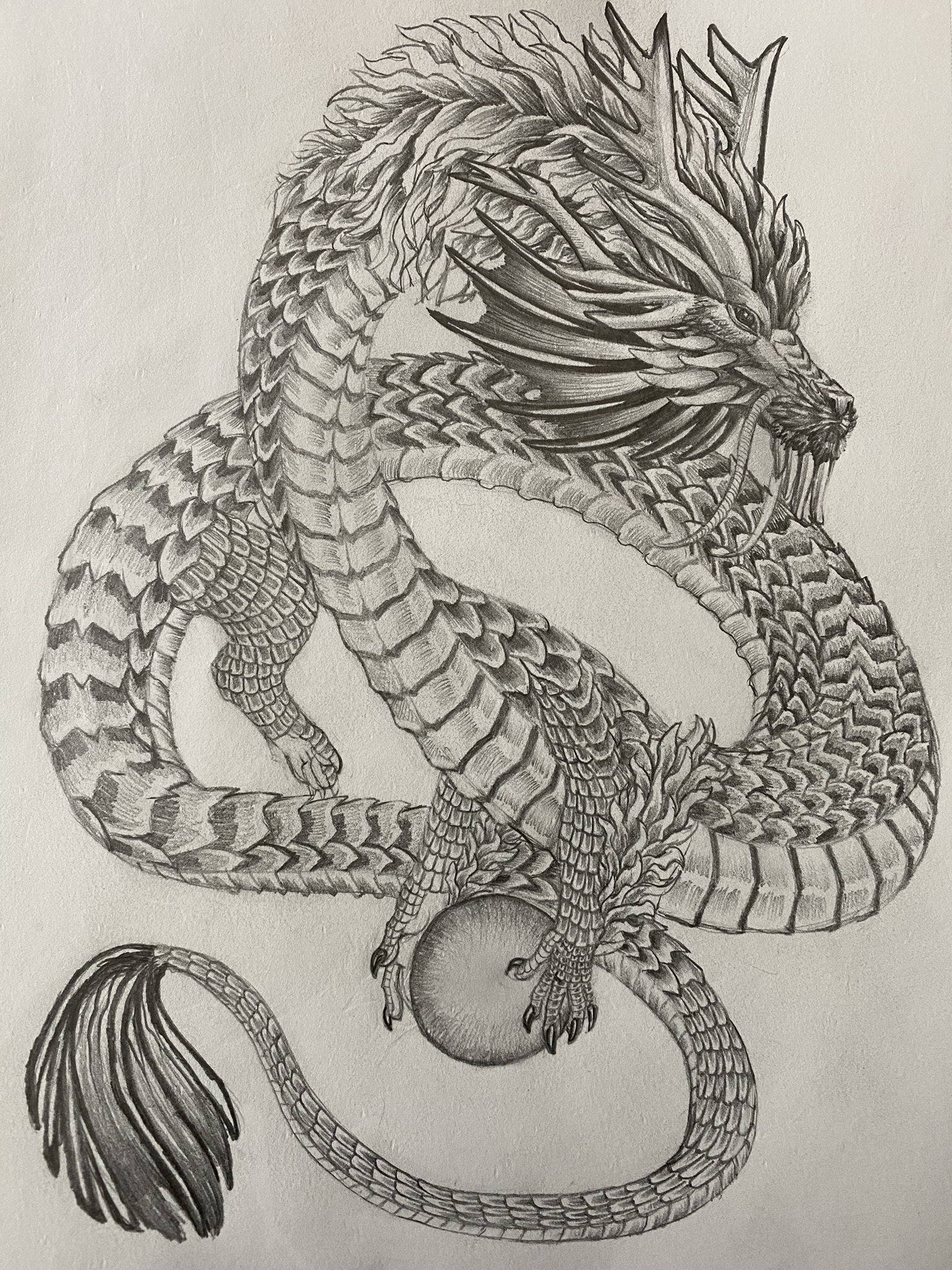 Dragon drawing by dankushagi on DeviantArt