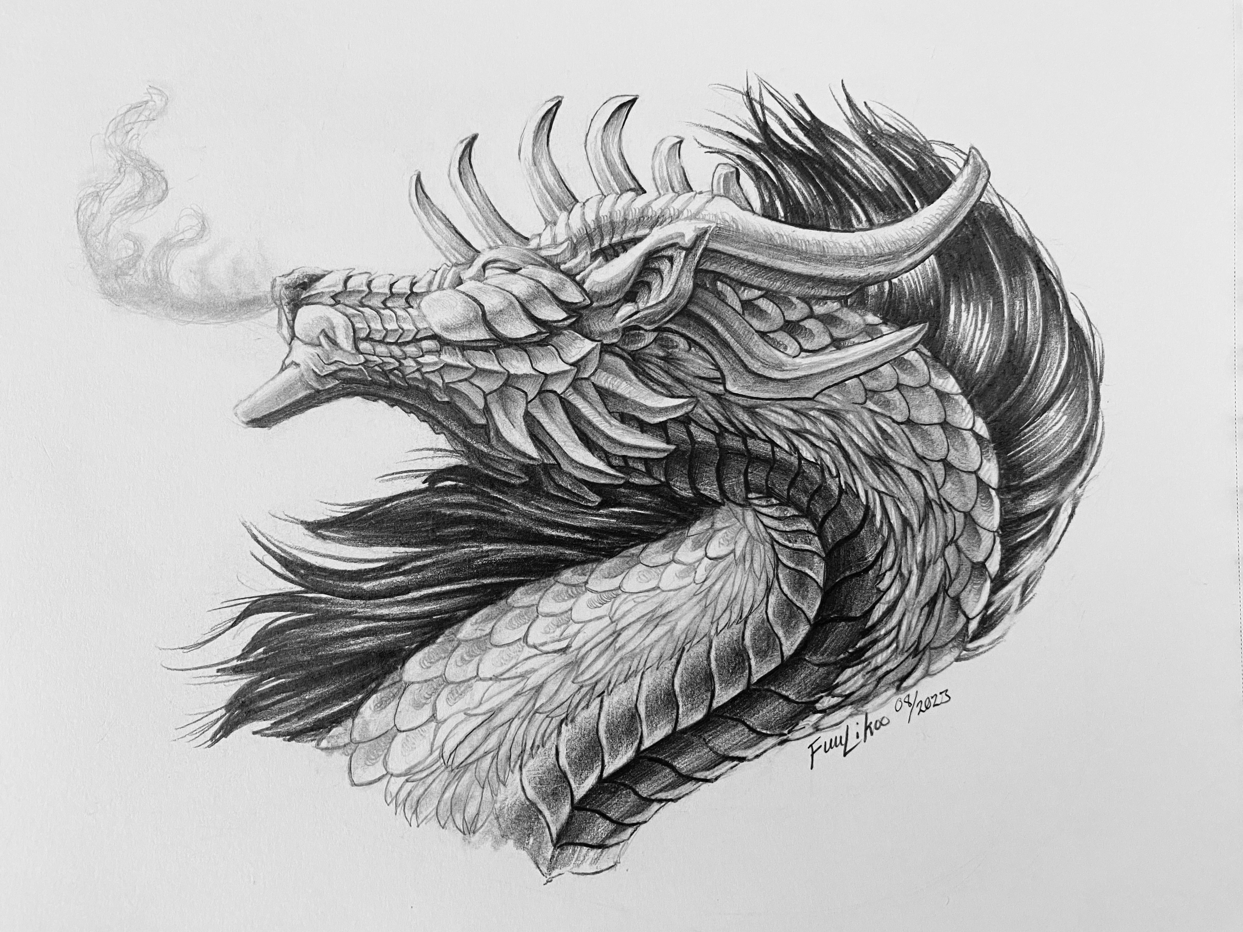 drawings of dragons realistic