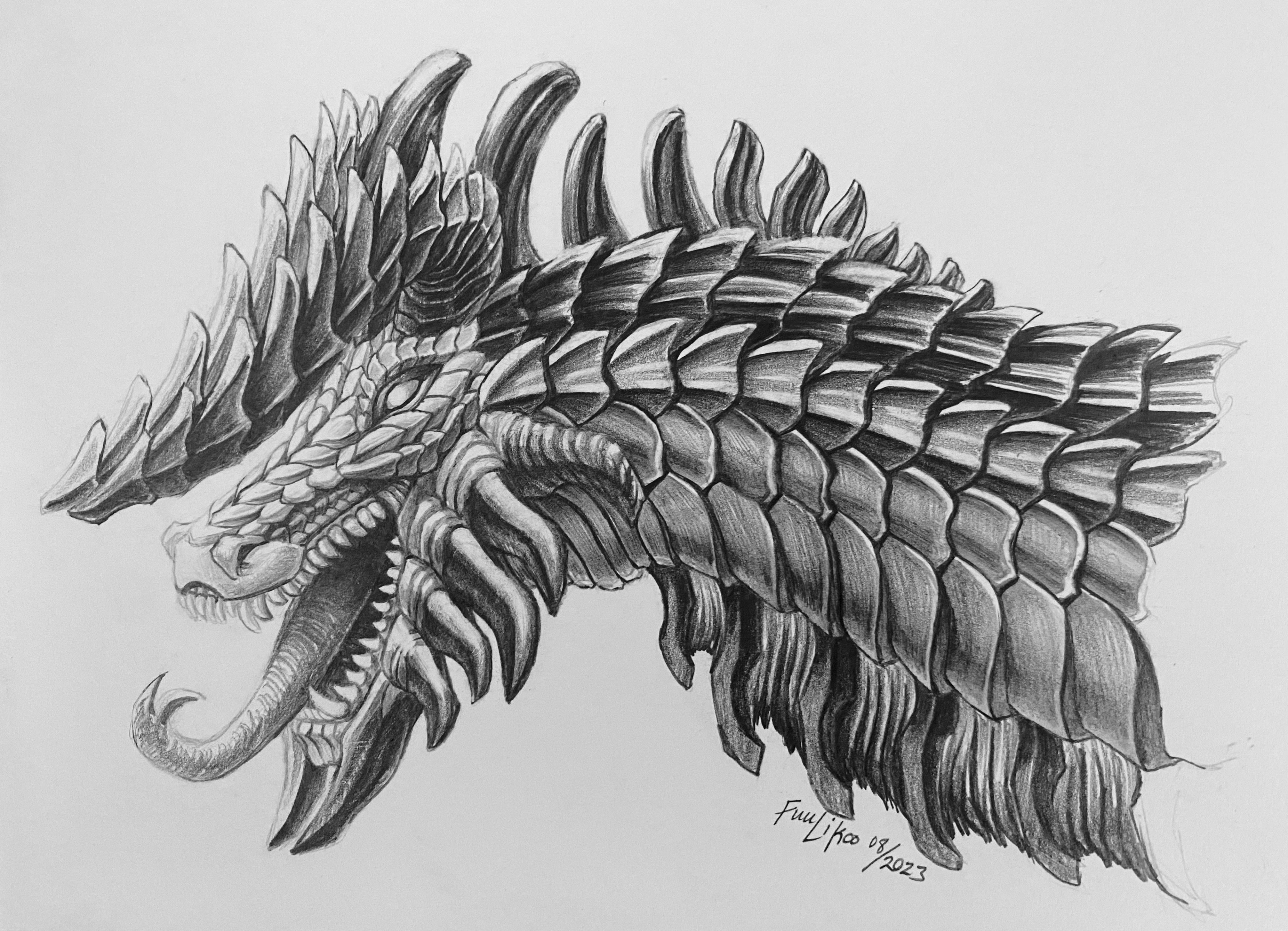 drawings of dragons realistic