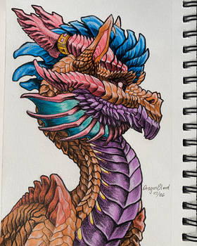 Drawing of a Dragon