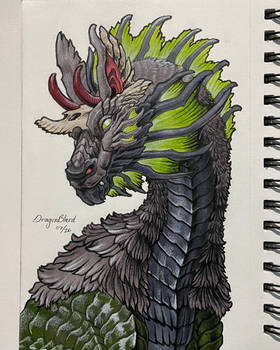 Dragon Portrait