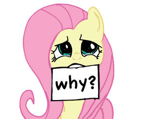 Flutterwhy