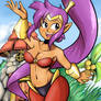 Shantae Poster