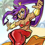 Shantae Magic Carpet