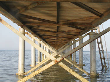 Under the Pier