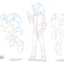 tutti i Sonic