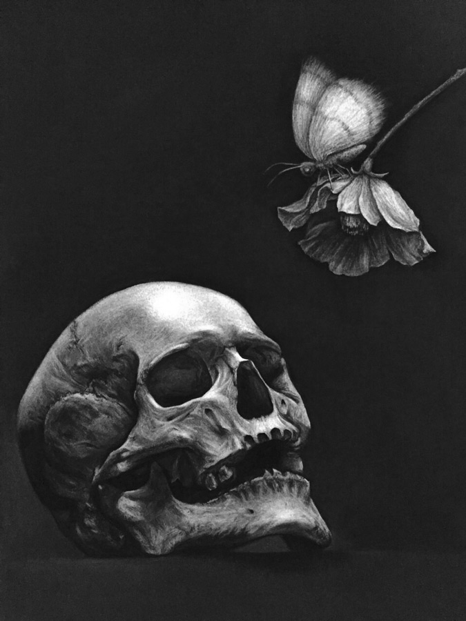 [Retouched] Skull - Moth - Flower