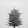 Tree No.4