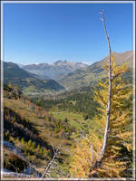 Les Melezes aux Diablerets