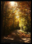 Path of Escape by MarquessaPhotography