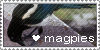 magpie stamp