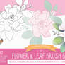 Procreate Flower   Leaf Brush Box