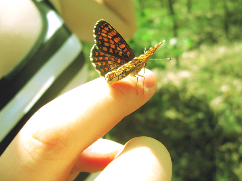butterfly on her finger.