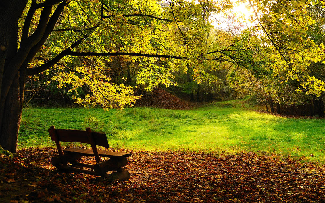 Autumn... by hquer