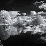 IR Pond