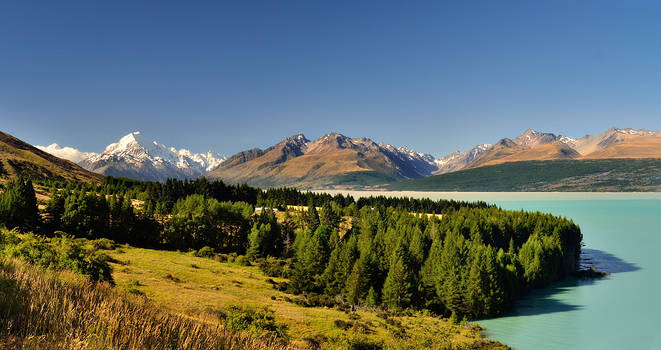 Mt. Cook