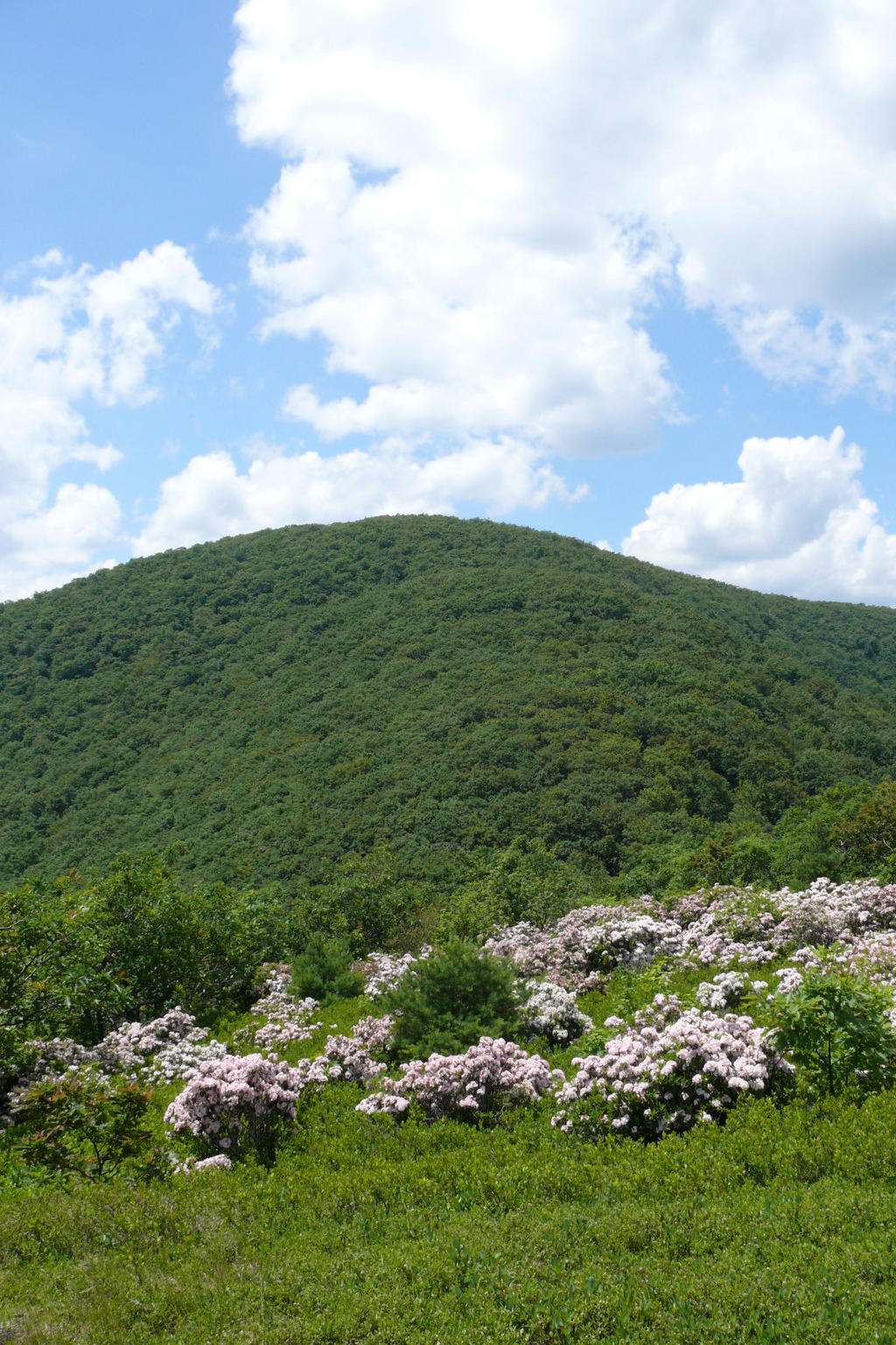 Ashokan High Point from LHP II