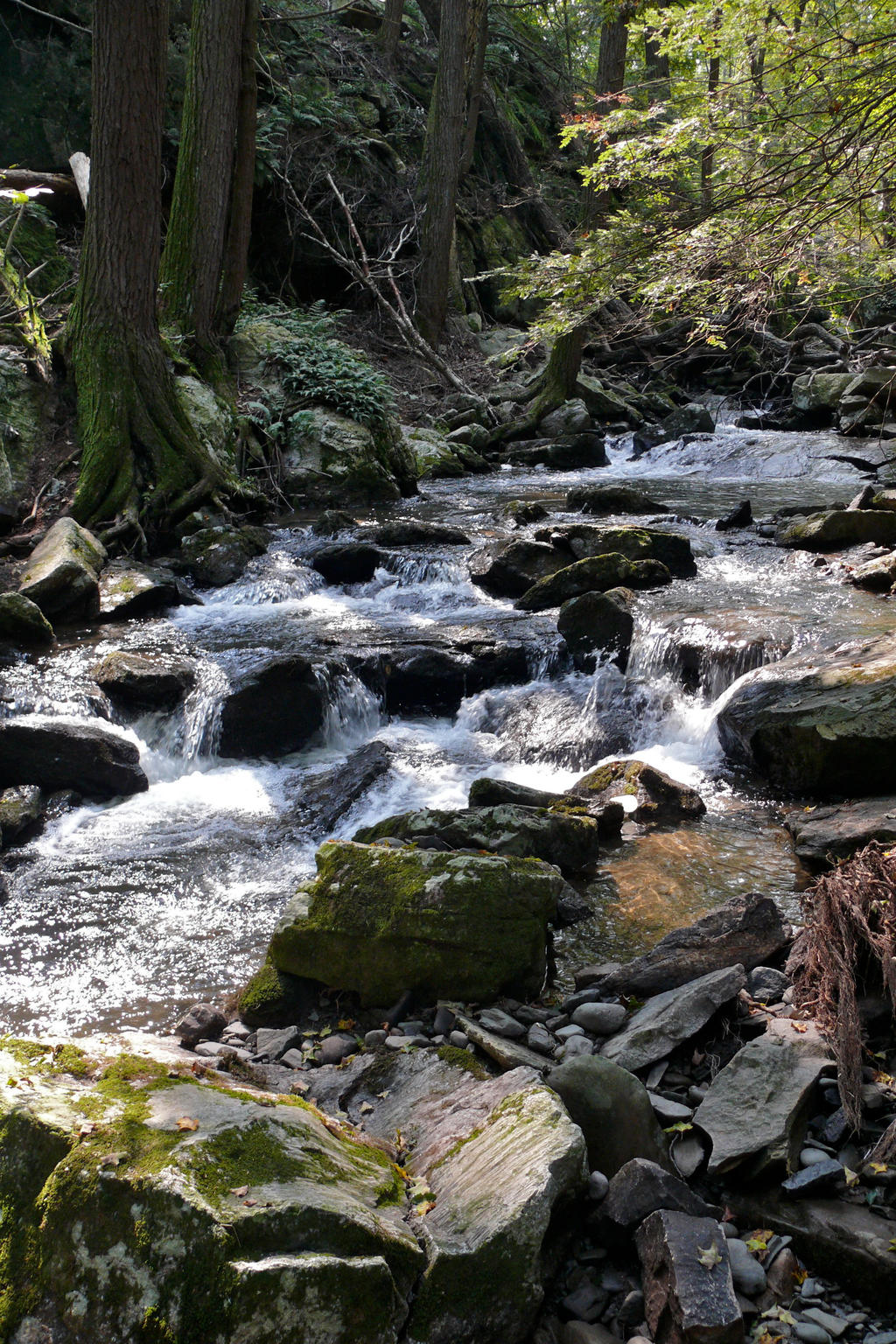 Mossy Brook Cascade