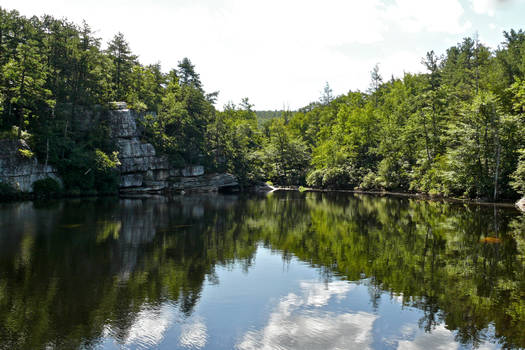 Hidden Pond Summer View