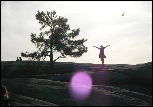 Kung Fu on Stone Mountain