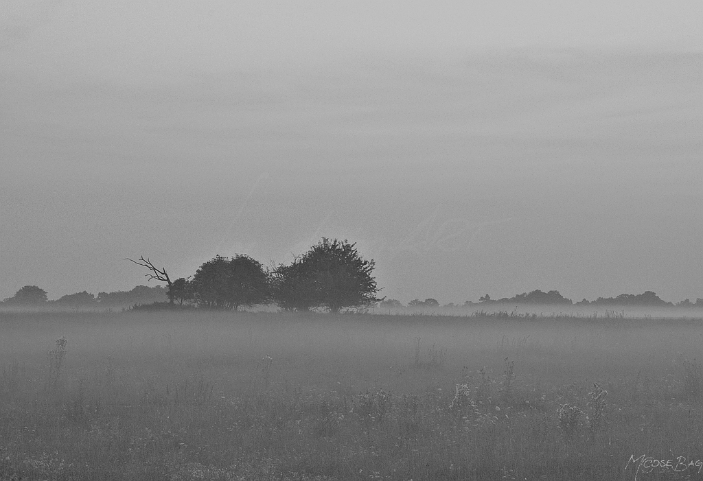 sunrising at the fields III