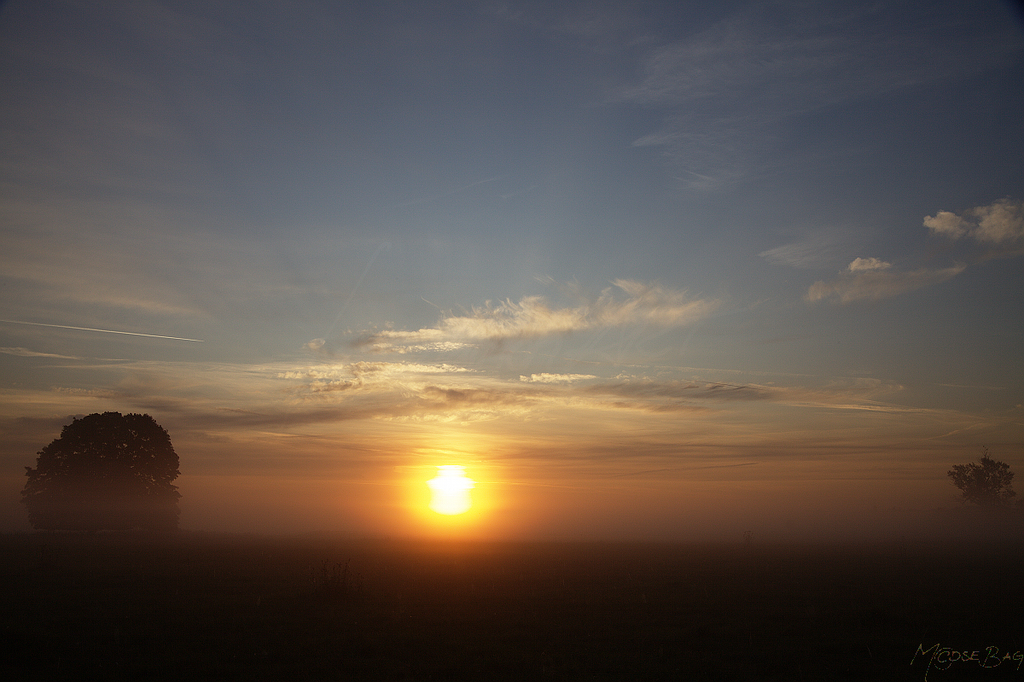 sunrising at the fields IV