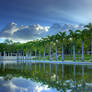 Reflection