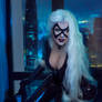 Black Cat Cosplay