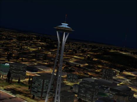 SPACE NEEDLE