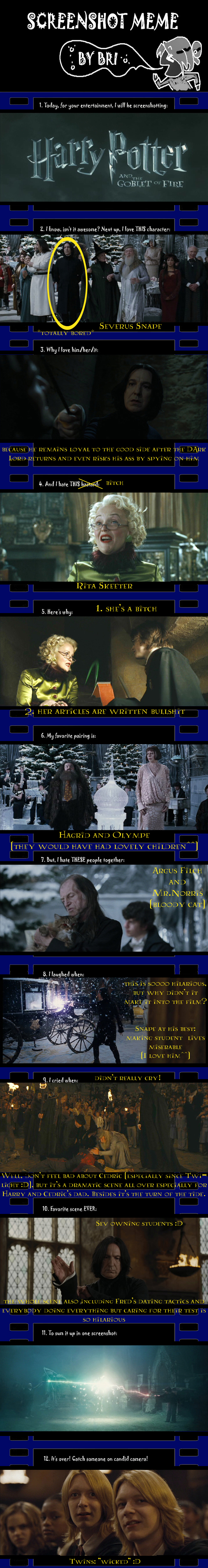 Screenshot Meme Harry Potter 4