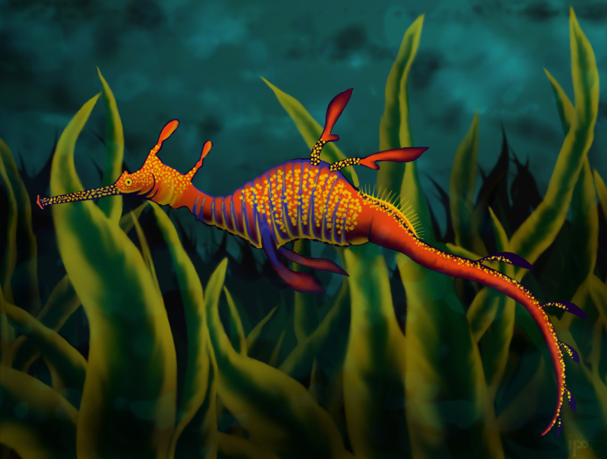 Sea Dragon By Indiliel On Deviantart