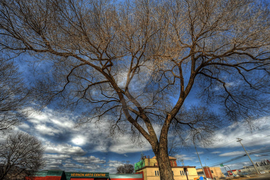 Science Club Tree Science Center Tree by OlafKorb on DeviantArt