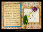 Arabic calligraphy 2 by itash