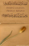 Arabic calligraphy 3 by itash