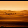 Golden Sand Dunes