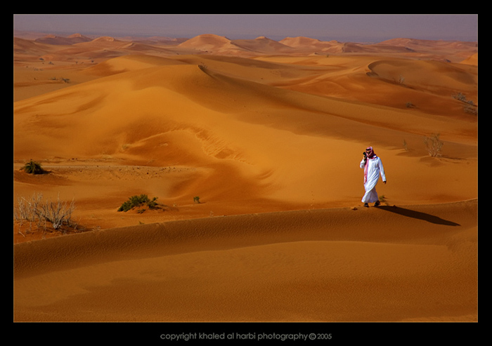 Desert walk