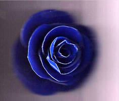 Duct tape rose ELECTRIC BLUE