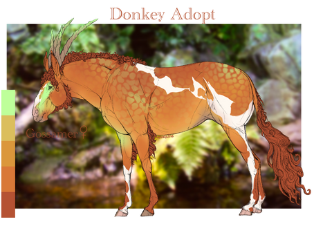 Donkey Adopt 1 OPEN