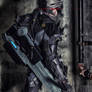 Metal Gear Rising: Raiden