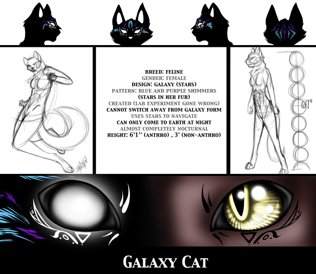 Galaxy Cat Character Sheet