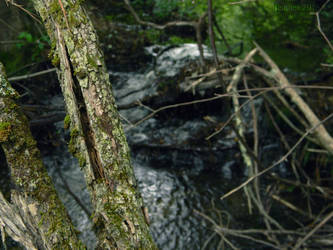 Hidden Waterfall