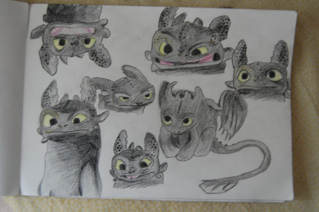 The Many Faces of Toothless the Dragon by HikariTsumetai on DeviantArt