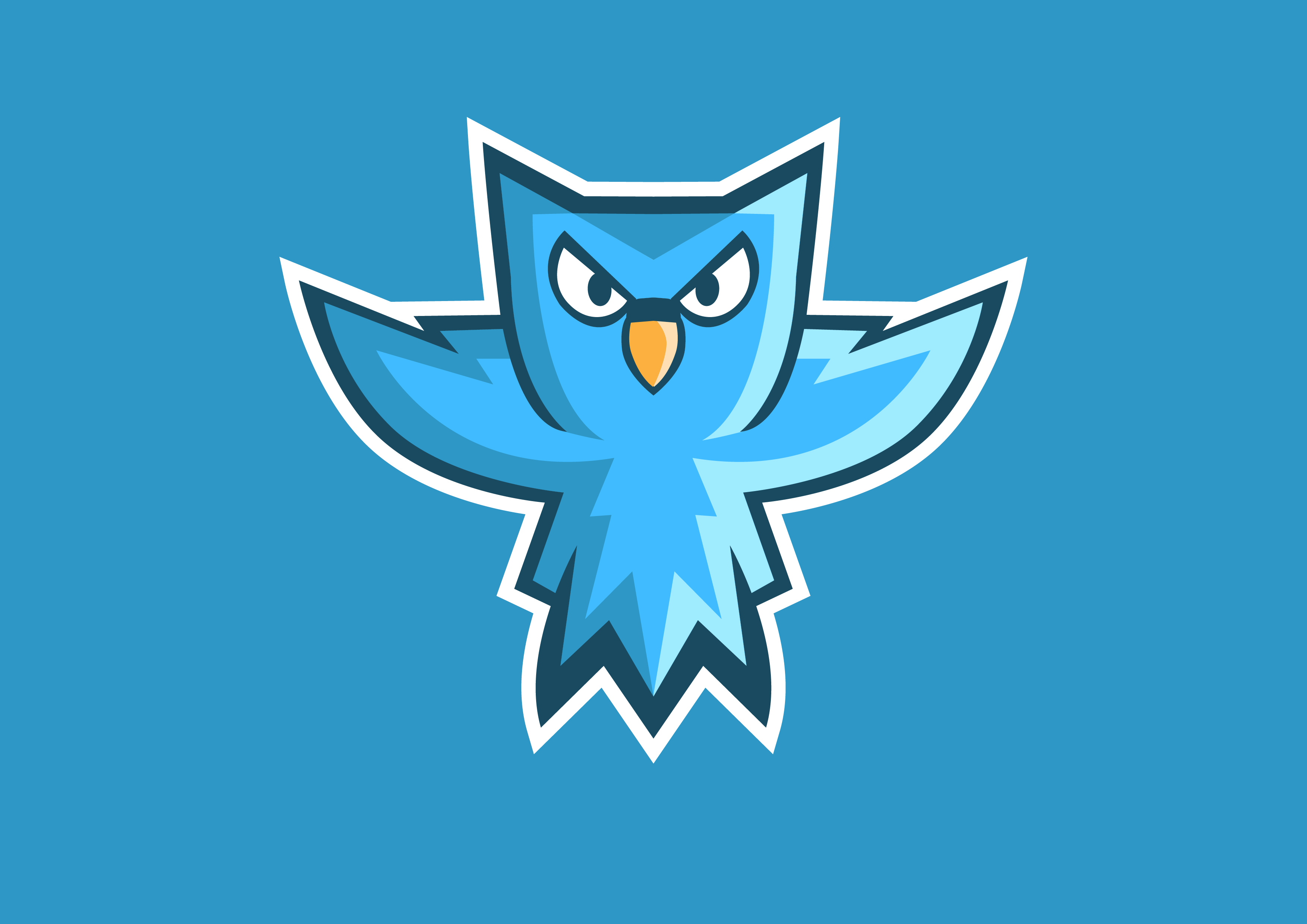 Owl Team Logo