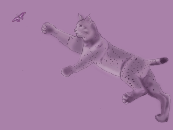 Purple Lynx