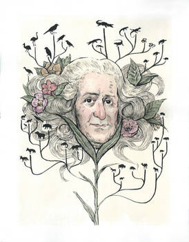 Carl Linnaeus