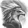 Chief of the Sky